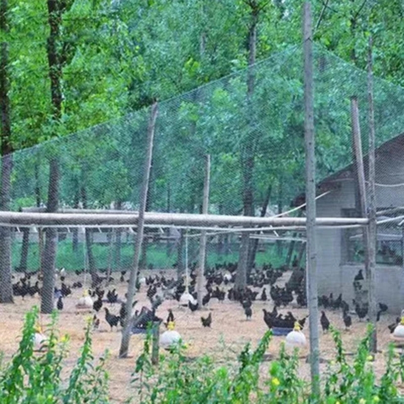 Protective Fence Net Anti-bird - Fishing Equipment Net のレビューと価格