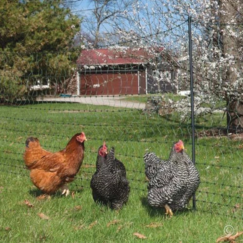 Protective Fence Net Anti-bird - Fishing Equipment Net のレビューと価格
