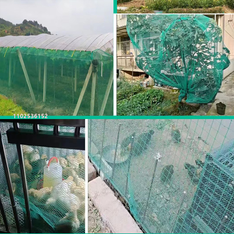 no-knots net Bird-proof Grape  - Fishing Equipment Net のレビューと価格