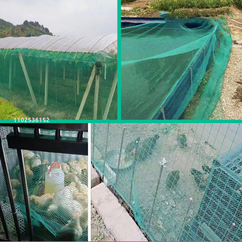 no-knots net Bird-proof Grape  - Fishing Equipment Net のレビューと価格