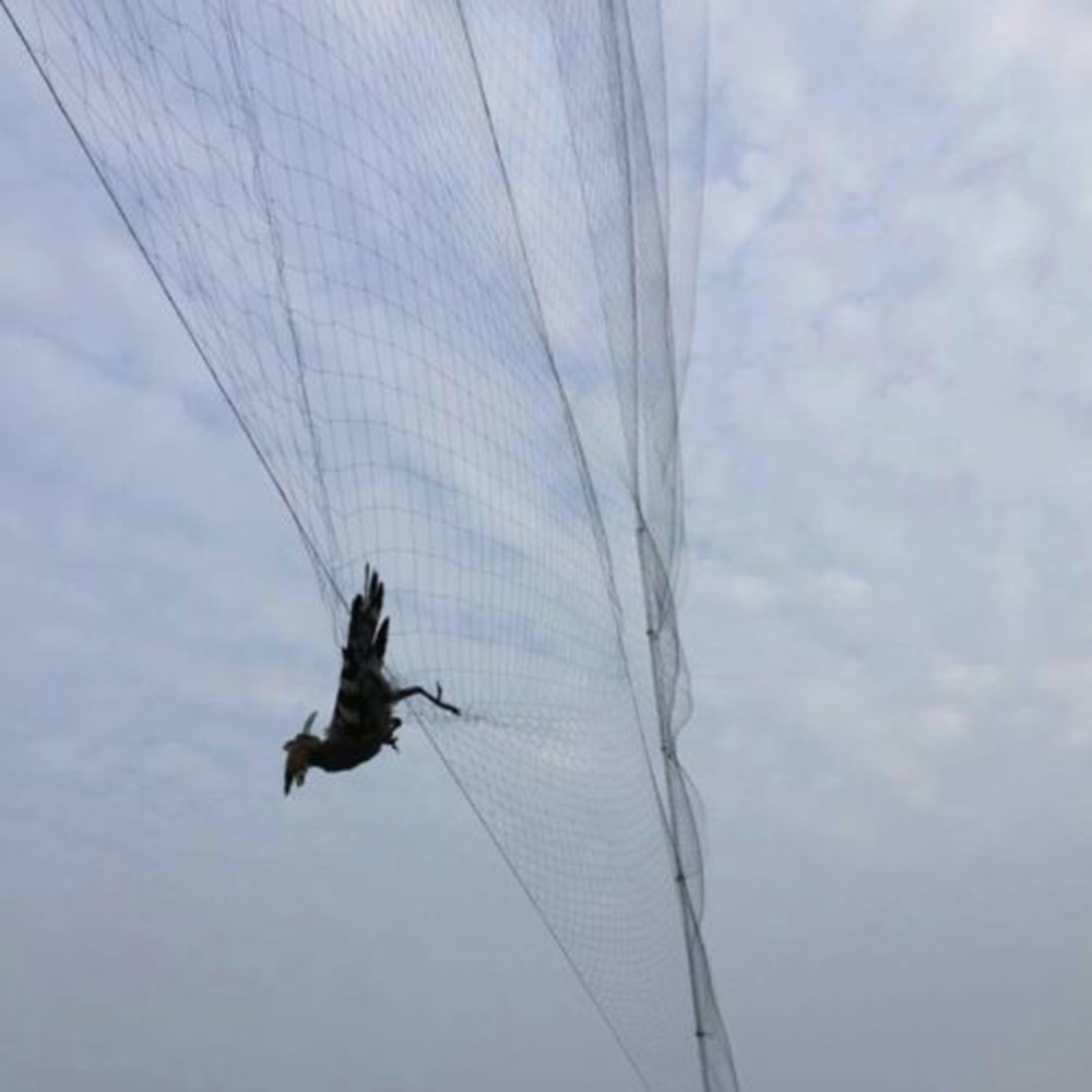 Bird Net Anti Bird Catcher Net - Fishing Equipment Net のレビューと価格