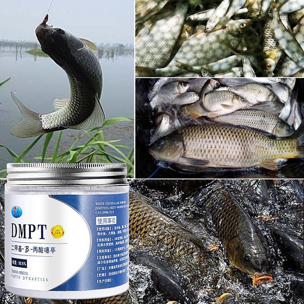 50g Real DMPT High Purity Fish - Fishing Equipment Market のレビューと価格